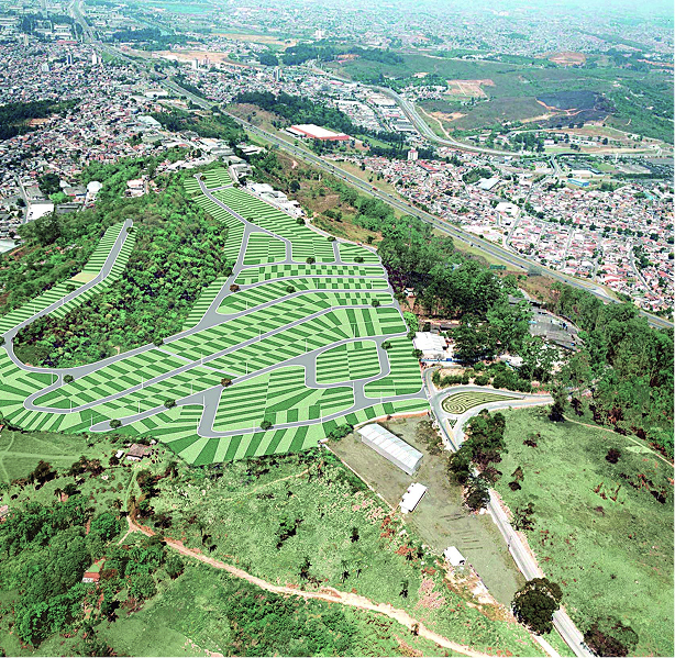 Visão